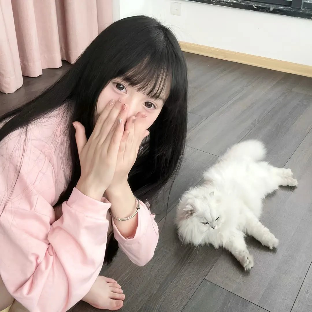 我的蠢老板