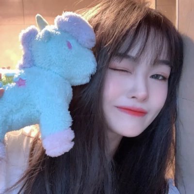 龟甲秘事之拨云见日